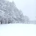 Brvnara Duga Njiva Banjaluka Daire *