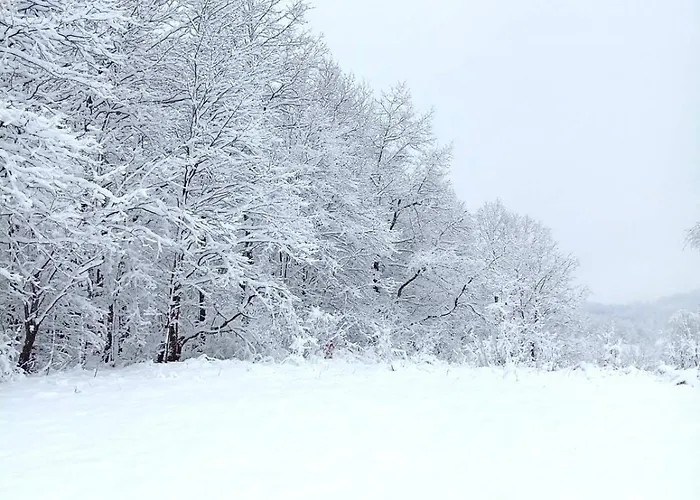 Brvnara Duga Njiva 公寓 *